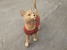 Кошка в свитере