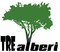 Tre alberi