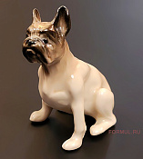 Французский бульдог