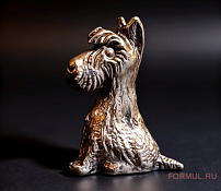 Скотч-терьер